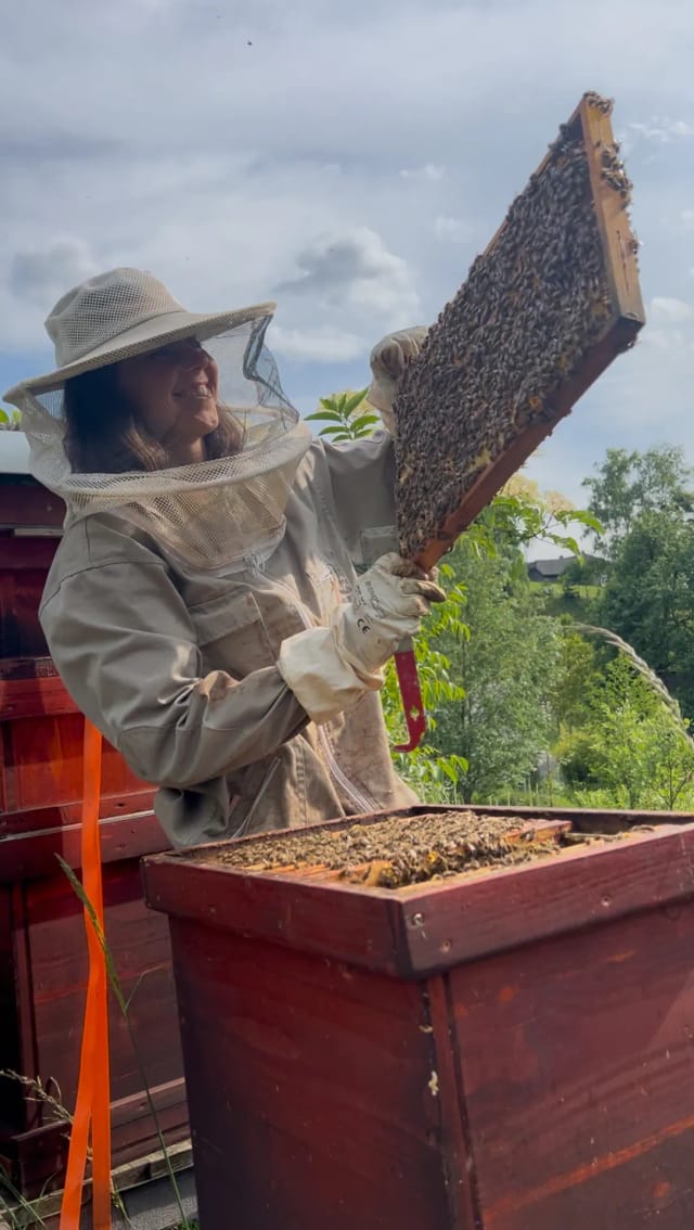 Romi bei der Völkerdurchsicht