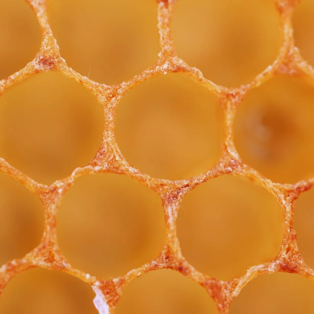 Nahaufnahme von Propolis auf einer Brutwabe