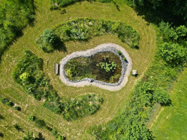 Drohnenaufnahme von unserem Biotop und den umliegenden Wildobsthecken