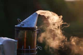 Der Smoker hilft uns bei den Arbeiten am Bienenstand